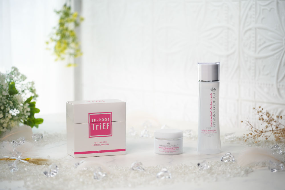 メインイメージ